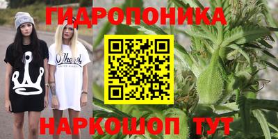гидропоника Ливны