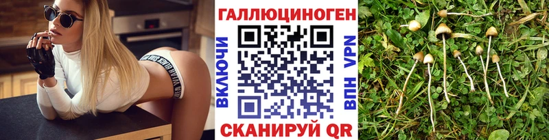 Псилоцибиновые грибы мухоморы Чебаркуль